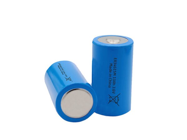 LiSOCl2 & LiMnO2 Batteries